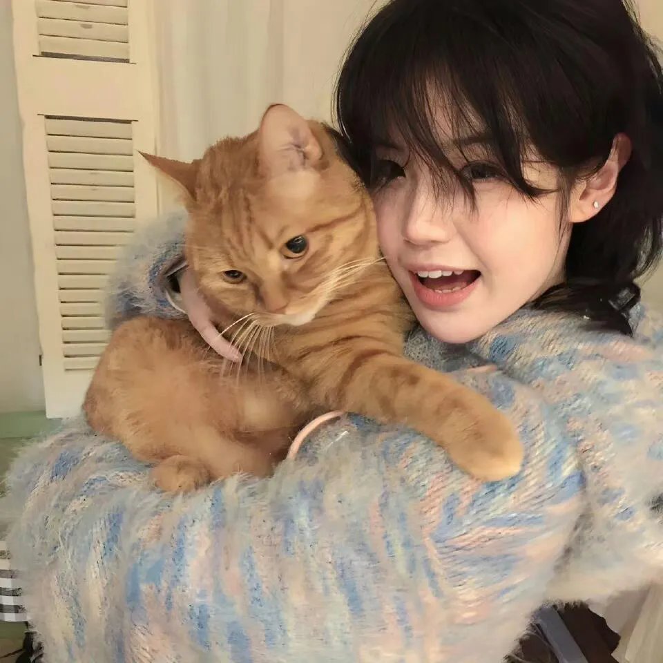 穿到大佬老公死亡的前一天